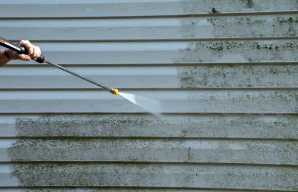 Best Black Mold Removal  in Liberty, NC