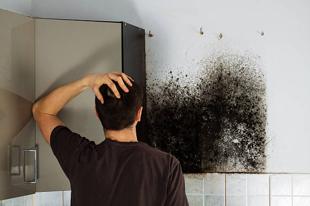 Best Attic Mold Removal  in Liberty, NC