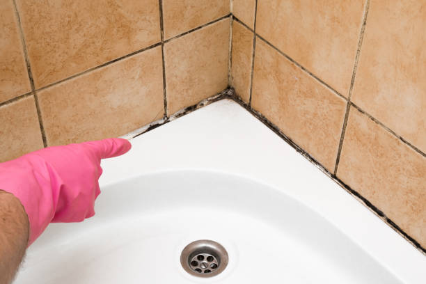 Best Mold Testing  in Liberty, NC